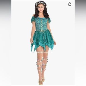 Fairy Dress Costume
